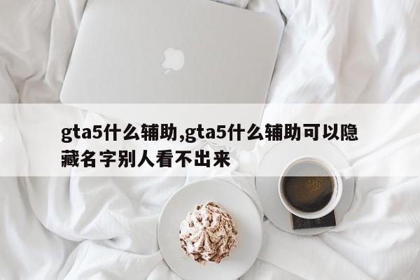 gta5什么辅助,gta5什么辅助可以隐藏名字别人看不出来