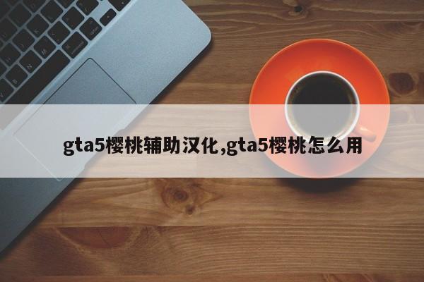 gta5樱桃辅助汉化,gta5樱桃怎么用