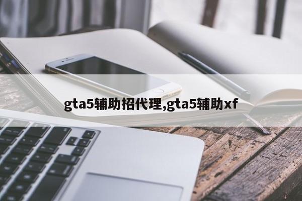 gta5辅助招代理,gta5辅助xf