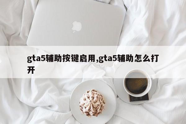 gta5辅助按键启用,gta5辅助怎么打开