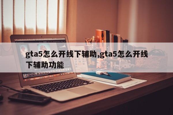 gta5怎么开线下辅助,gta5怎么开线下辅助功能