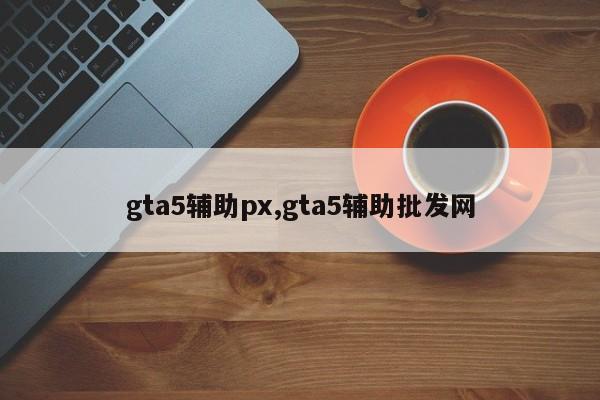 gta5辅助px,gta5辅助批发网