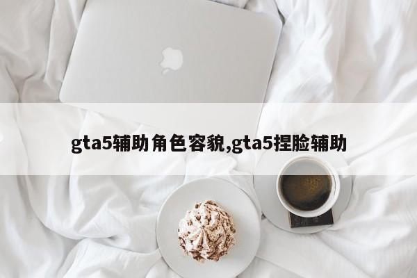 gta5辅助角色容貌,gta5捏脸辅助