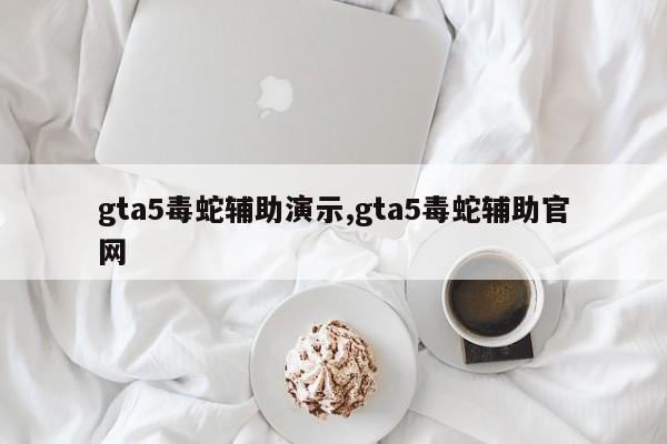 gta5毒蛇辅助演示,gta5毒蛇辅助官网