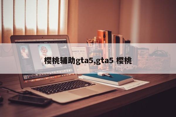 樱桃辅助gta5,gta5 樱桃